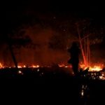 Mengkhawatirkan, Kebakaran Lahan Yang Terjadi Di Palangka Raya Mengancam Rumah Masyarakat
